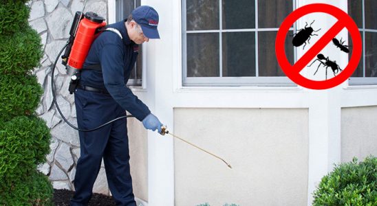 Bozkurt Kene İlaçlama böcek ilaçlama ve haşere kontrolü — ilaclama-tr.com